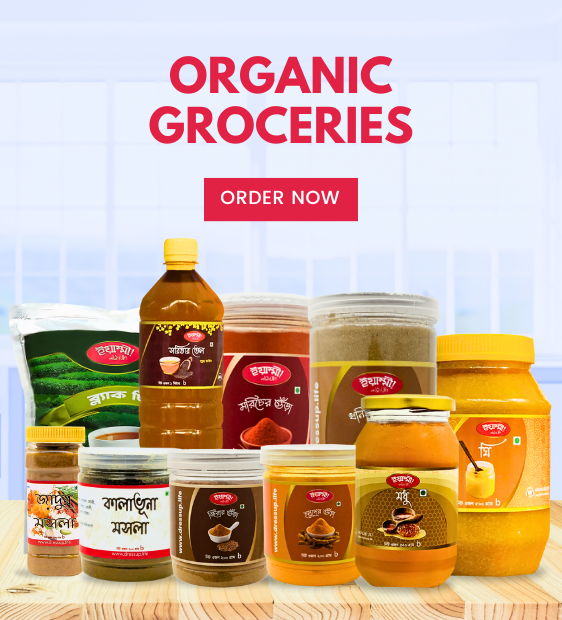 organic-groceries-banner